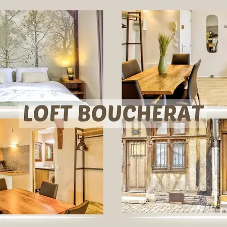 Chant Du Cygne Apartment Troyes